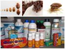 Bedbug Remedies