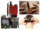 Anti-pediculosis styling