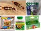 Earwig Chemicals