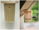 Carpenter Bee Traps