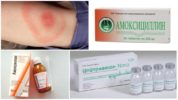 Antibiotika mot borrelios