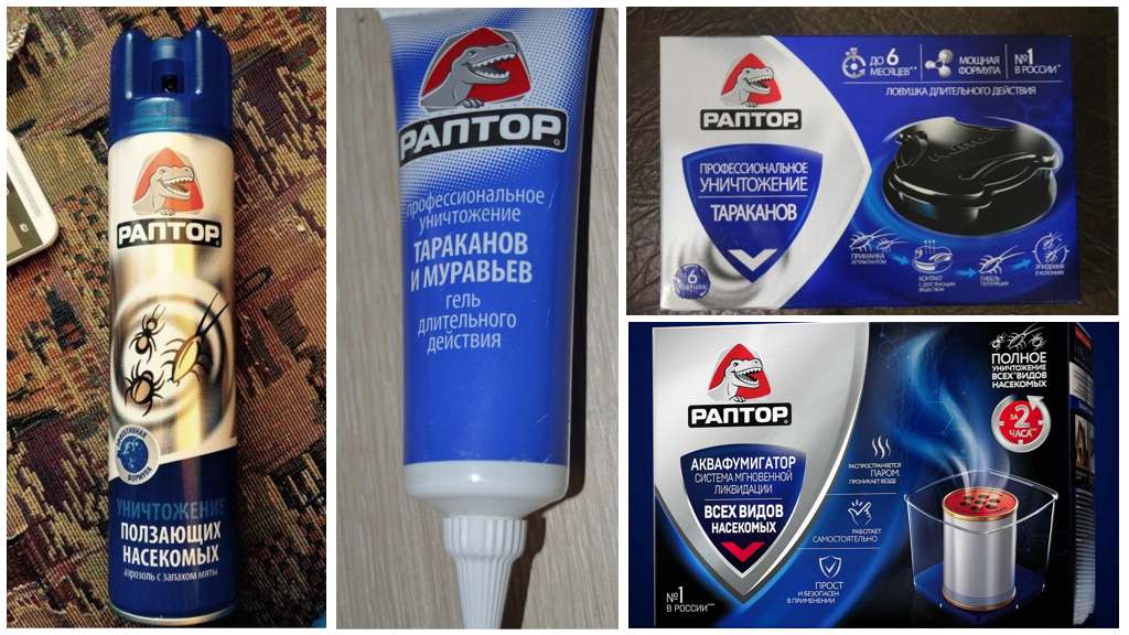 Raptor Remedies för kackerlackor