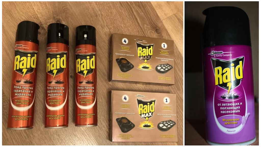 Raid från kackerlackor